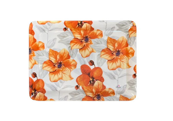 Dno 71 Stylo Tray melamine 31x23cm