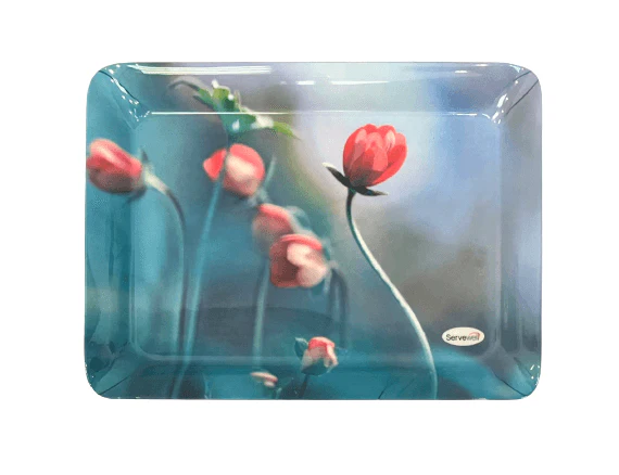 Servewell Stylo Extra Large tray Dno 25 2 sizes