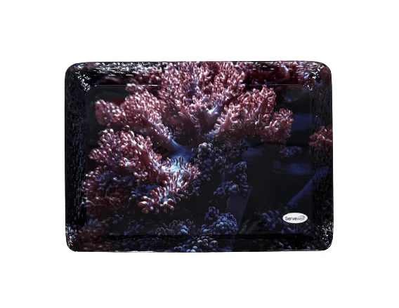 Servewell Stylo Extra Large tray Dno 24