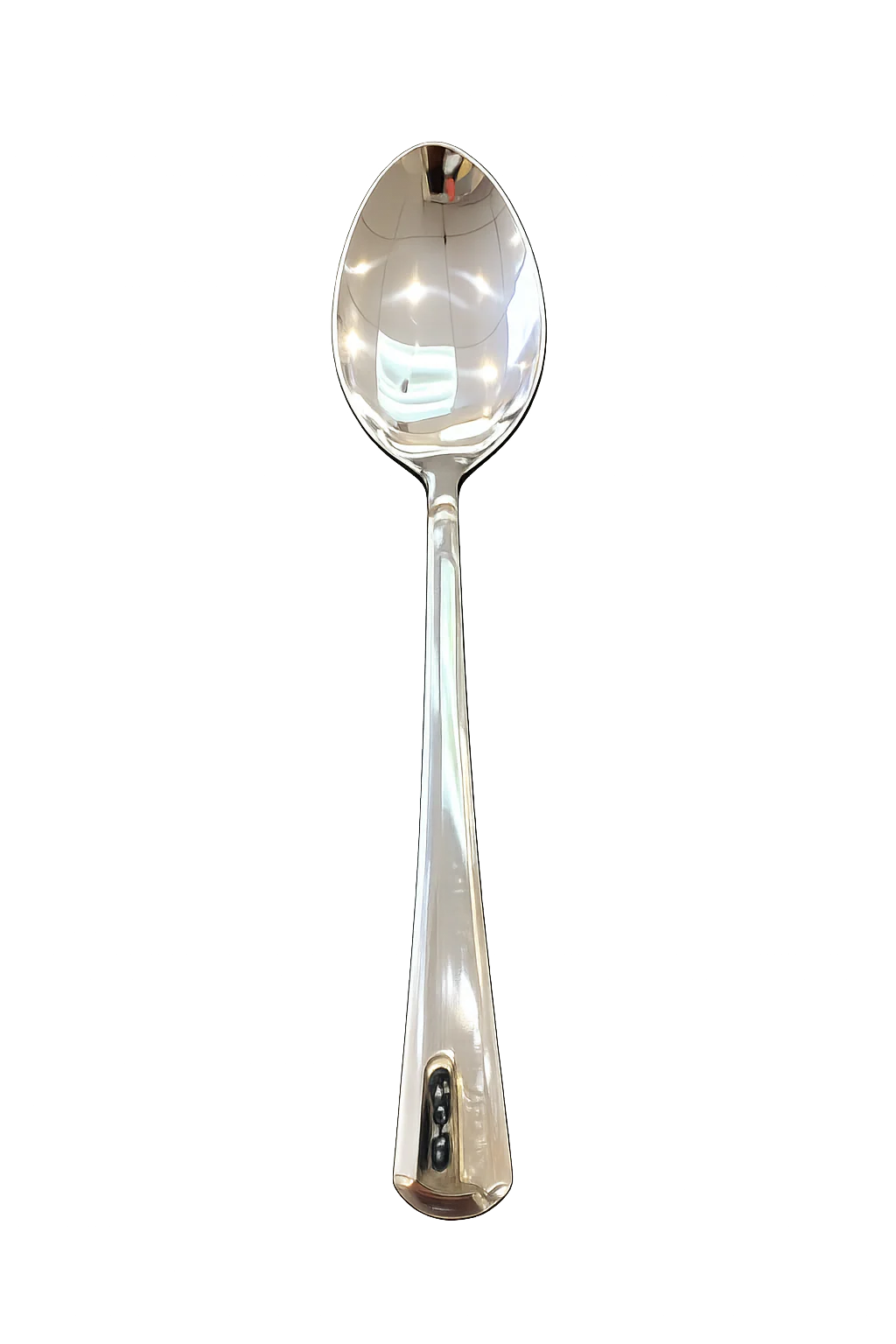 Stainless Steel Serving Spoon (Metinox) 1 pc