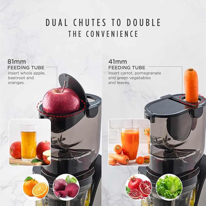 Sujata Cold Pressed Slow Juicer SJ01 | Ideal for Fruit, Vegetable Juices, Nut Milks, Smoothies & Frozen Desserts | Dual Feeding Chute | Reverse Function | Magnetic Safety Lock - Image 4