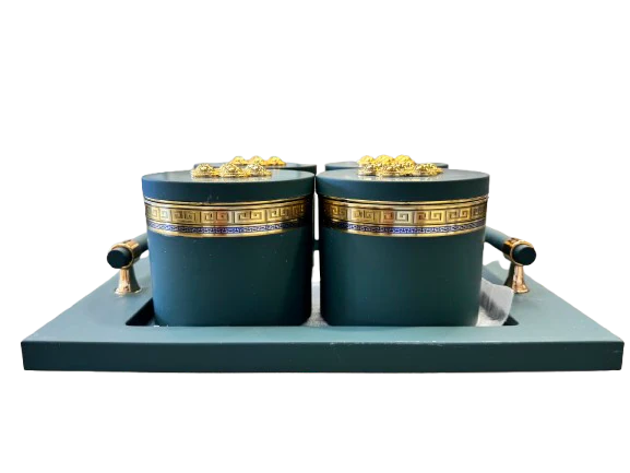 Utility/serving Container Phantom Plus 4 Set Acralic Containers with Airtight Lid (4 colours)